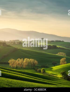 Sonnenuntergang über der Landschaft von Orciano Pisano im Frühling. Sanfte Hügel und Bäume in Colline Pisane, Provinz Pisa, Toskana, Italien Stockfoto