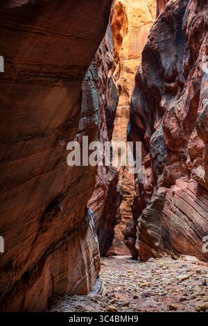 Buckskin Gulch liegt im südlichen Kane County, Utah, nahe der Grenze zu Arizona in der Paria Canyon-Vermilion Cliffs Wilderness. Stockfoto