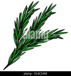 Eine detaillierte Vektor-Illustration eines Rosmarinzweigs mit seinen leuchtend grünen Blättern und komplexen Details, perfekt für kulinarische oder botanische Designe Stock Vektor