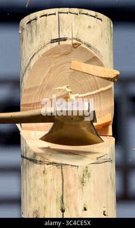 27. Juli 2018 – Milwaukee, Wisconsin, USA – Holzspäne fliegen ab, während eine Axt nach unten in einen Baumstamm schneidet. Milwaukees German fest war Gastgeber der diesjährigen STIHL TIMBERSPORTS U.S. Championships. (Kreditbild: © Rob Dicker via ZUMA Wire) Stockfoto