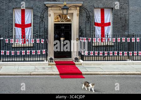 London, Großbritannien. 28. Juli 2025. Larry, die Katze, in einer dekorierten Downing Street, vor der Ankunft der englischen Frauenfußballmannschaft für einen Empfang mit Angela Rayner, stellvertretender Premierministerin, nach ihrem Sieg gegen Spanien im Elfmeterschießen im Finale der Euro 2025 in der Schweiz, um die Trophäe zu behalten. Es ist auch das erste Mal, dass eine englische Nationalmannschaft ein internationales Turnier in Übersee gewonnen hat. Quelle: Stephen Chung / Alamy Live News Stockfoto