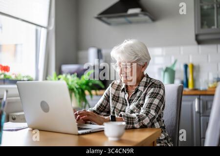 Ältere Frau mit Laptop zu Hause Stockfoto
