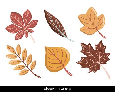 Herbstblatt mit Ahorn, Kastanie, Weide, Pappel, eberesche und Tulpenbaum besetzt. Vektor-isolierte Illustration auf weißem Hintergrund. Stock Vektor