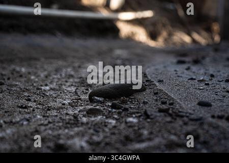 Makroaufnahme eines einzelnen Steins auf einem Sandweg. Ideal für minimalistische Naturbilder, Hintergrundtexturen, Fokuskonzepte oder Umweltabschnitte Stockfoto