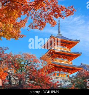 Kyoto, Japan - 25. November 2024: Kiyomizu-dera-Tempel mit wunderschönem Laub im Herbst in Kyoto, Japan Stockfoto