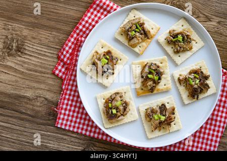 Eine Platte mit knusprigen, quadratischen Crackern, jeder mit Sardinen und einem Sprenkel gehackter grüner Zwiebeln belegt, kunstvoll auf einem weißen Teller angeordnet. Stockfoto