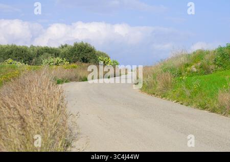Landstraße im Frühjahr Siziliens, Italien Stockfoto