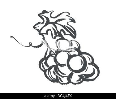 Vektorskizze der auf dem Tisch liegenden Trauben. Handgezeichnete Abbildung. Schnelles Zeichnen von Weinreben mit schwarzer Tinte und Pinsel. Clipart für Weinetikett, Saft, Weingut-Logo. Stock Vektor
