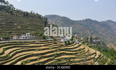 Blick auf ein malerisches Dorf im Himalaya mit Terrassenlandschaften in der Nähe von Srinagar in Uttarakhand, Indien. Stockfoto