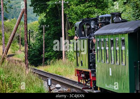6. Juli 2025 - Rugen-Deutschland: Dampflokomotive Baureihe 99 der Erbenbahn Rasender Roland fährt durch einen Waldweg, während ein Tourist nach draußen blickt Stockfoto