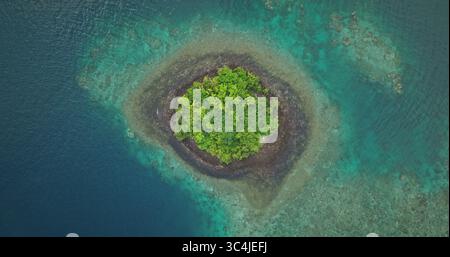 Fidschi-Inseln: Atemberaubender Blick aus der Luft auf eine üppige tropische Insel, umgeben von lebendigen Korallenriffen in Fidschis kristallklarem türkisfarbenem Wasser. Wilde Naturreiselandschaft. Drohnenflug Stockfoto