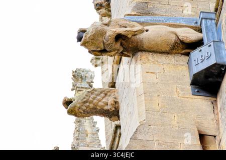 Wasserspeier an der Außenseite der Ely Cathedral in Ely, Cambridgeshire Stockfoto