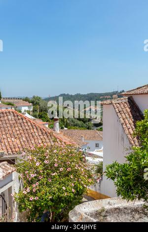 Historisches Schloss und weiß getünchte Häuser in Obidos Stockfoto