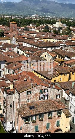 Blick aus der Vogelperspektive auf eine historische Stadtlandschaft mit zahlreichen roten Ziegeldächern und mittelalterlicher Architektur, umgeben von üppigem Grün und fernen Bergen. Ca Stockfoto