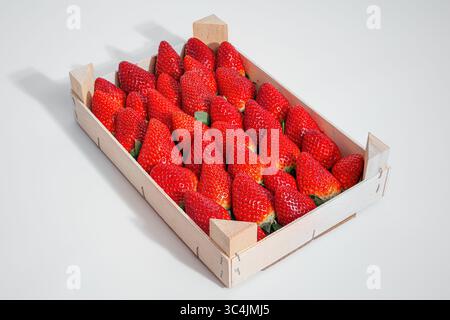 Frische rote und saftige Erdbeeren in einer Holzkiste Stockfoto