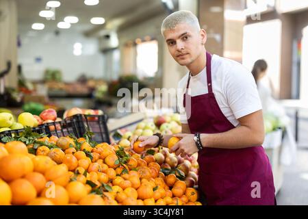 Arbeiten im Supermarkt - männlicher Verkäufer sortiert reife Mandarinen auf der Vitrine Stockfoto