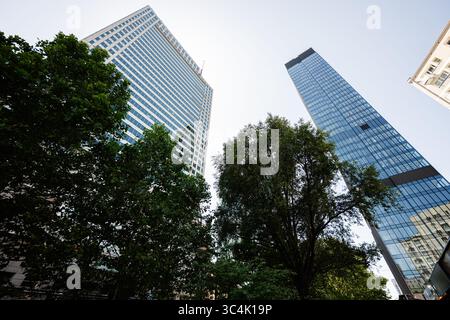 Hohe Glasgebäude inmitten von Grün vor klarem blauem Himmel im Stadtgebiet Stockfoto