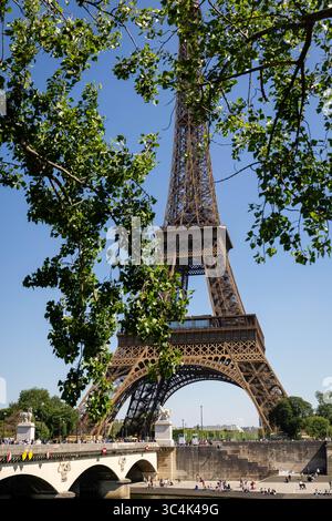 Eiffelturm über grünen Parkbäumen im Sommer Paris, Frankreich Porträt Stockfoto