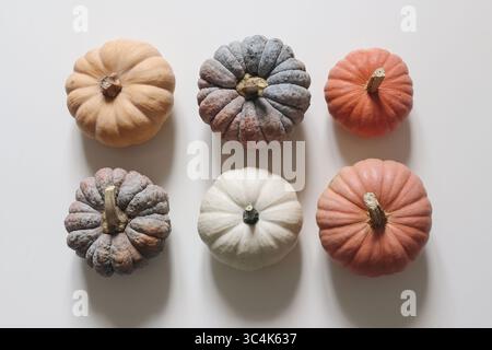 Draufsicht von sechs verschiedenen Kürbissen in verschiedenen Farben. Orangefarbener, weißer, blau-grauer Kürbis isoliert auf weißem Tischhintergrund. Dekoration im Herbst Stockfoto
