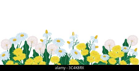 Horizontaler Hintergrund mit Löwenzahn auf weiß Stock Vektor