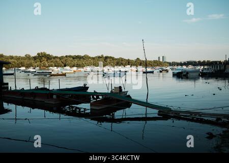 Zahlreiche kleine Boote und Yachten ankerten entlang der Donau in Belgrad, mit Wald auf der Insel im Hintergrund. Belgrad, Serbien - 13. Juni 2025. Stockfoto