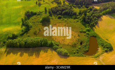 Drohnenblick auf einen kleinen natürlichen Teich am Rande einer Wiese und eines Waldes im ländlichen Litauen. Üppige Vegetation und gemischte Landschaft mit Feldern und Wäldern Stockfoto