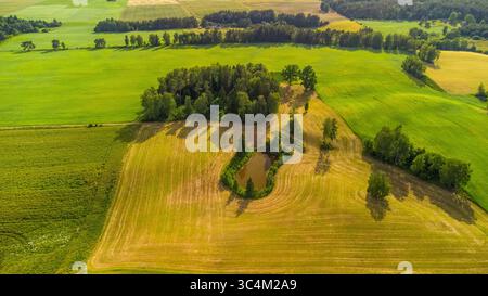 Luftbild einer malerischen ländlichen Landschaft mit einem kleinen Teich, Baumhain und bewirtschafteten Feldern. Idyllisches Sommerlandland in Litauen von oben aus gesehen Stockfoto