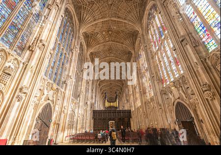 Cambridge, England. Weitwinkelblick auf das senkrecht gotische Innere der King's College Chapel mit dem gesamten Schiff, dem erhöhten Chorschirm und innen Stockfoto