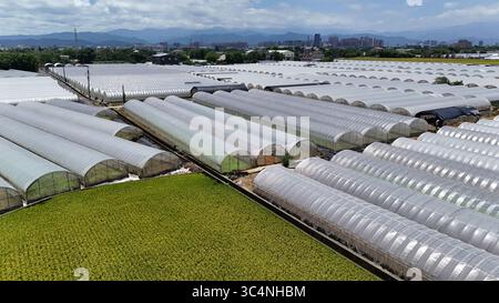 Luftaufnahme der landwirtschaftlichen Gewächshäuser Stockfoto