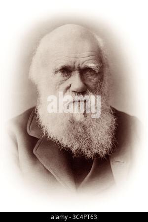Charles Robert Darwin (1809–1882), Urheber der Evolutionstheorie durch natürliche Selektion, in einem Porträt von Elliott & Fry vom 29. November 1881. Stockfoto