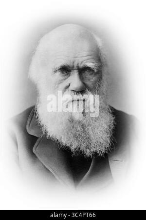 Charles Robert Darwin (1809–1882), Urheber der Evolutionstheorie durch natürliche Selektion, in einem Porträt von Elliott & Fry vom 29. November 1881. Stockfoto
