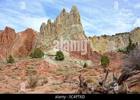 Abenteuerlustige Fahrt die Cottonwood Canyon Road in Grand Staircase-Escalante hinunter Stockfoto
