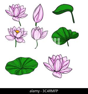 Eine akribisch detaillierte Vektor-Illustration mit einer Sammlung rosa Lotusblüten in verschiedenen Blütestadien, begleitet von ihrem leuchtenden Grinsen Stock Vektor