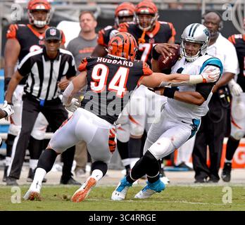 3. Juli 2018 - Charlotte, NC, USA - Carolina Panthers Quarterback Cam Newton, rechts, stürmt sich auf die Strecke, als Cincinnati Bengals Defensivende Sam Hubbard, links, den Angriff während der Action im vierten Quartal am Sonntag, 23. September 2018 im Bank of America Stadium in Charlotte, N.C. Newton wurde zu einer Strafe gerufen und bezeichnete seinen Weg über das Feld als „Walk of Shame“, zurück zur Seitenlinie des Teams. (Kreditbild: © Jeff SINER/Charlotte Observer/TNS via ZUMA Wire) Stockfoto