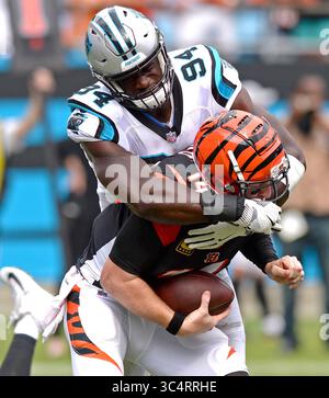 3. Juli 2018 - Charlotte, NC, USA - Carolina Panthers Defensive End Efe Obada, links, entlastet Cincinnati Bengals Quarterback Andy Dalton, rechts, während der Aktion im vierten Quartal am Sonntag, 23. September 2018 im Bank of America Stadium in Charlotte, N.C. (Credit Image: © Jeff SINER/Charlotte Observer/TNS via ZUMA Wire) Stockfoto