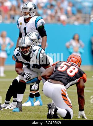 Juli 2018 - Charlotte, NC, USA - Carolina Panthers kämpfen Chris Clark, Mitte, Blick über die Linie bei Cincinnati Bengals Defensivende Carl Lawson, rechts, als Panthers Quarterback Cam Newton zurück links, ruft ein Spiel während des vierten Quartals Aktion am Sonntag, 23. September 2018 im Bank of America Stadium in Charlotte, N.C. (Credit Image: © Jeff SINER/Charlotte Observer/TNS via ZUMA Wire) Stockfoto