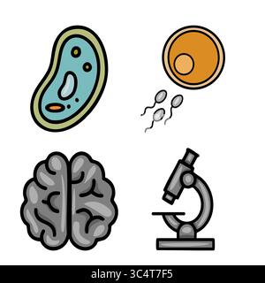 Eine verspielte Vektor-Illustration mit einer stilisierten Zelle, einem Ei, einem Sperma, einem Gehirn und einem Mikroskop, wissenschaftliche Konzepte in unbeschwerter Weise darstellen. Stock Vektor