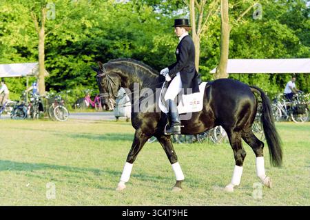 Hippique Competition, Hoofddorp, Niederlande, 13-06-2003 Whizgle News, Dutch Desk, Niederlande, 1950-2000 Ein Reiter in formeller Kleidung führt ein elegantes schwarzes Pferd in einer Dressurroutine, die in einer üppigen grünen Kulisse und mit Fahrrädern in der Ferne eine ausgeglichene und präzise Figur zeigt. Stockfoto