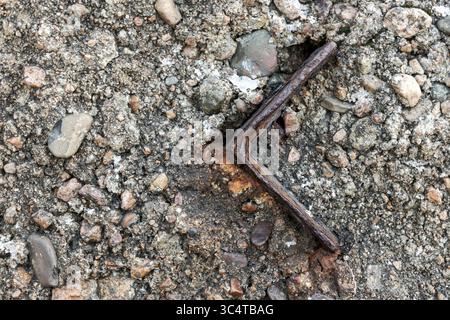 Eine Nahaufnahme eines alten rostigen Metallstabs, eingebettet in eine grobe Betonoberfläche, zeigt Erosion und Texturdetails, die Verfall und Involut symbolisieren Stockfoto