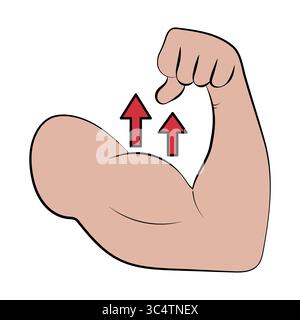 Starker Arm mit nach oben gerichteten Pfeilen. Symbol für Stärke und Wachstum. Ein muskulöser Arm beugt seinen Bizeps, mit zwei roten Pfeilen nach oben. Stock Vektor