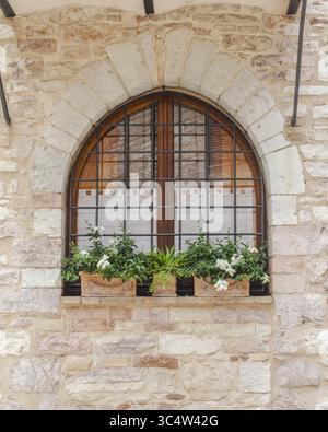 Der Blick auf ein bogenförmiges Fenster mit Eisenstangen und transparenten Vorhängen, geschmückt mit Blumenkästen, die mit leuchtenden grünen Pflanzen und weißen Blüten überflutet sind, verzaubert Stockfoto