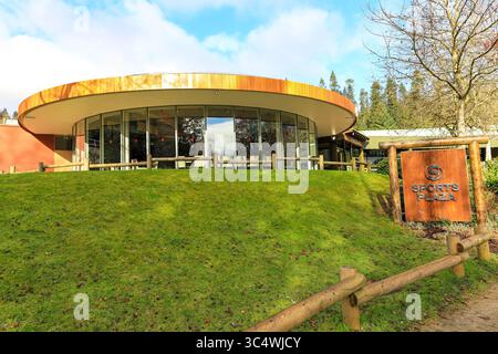 The Sports plaza at Center Parcs, Longleat Forest Holiday Village, Warminster, Wiltshire, England, Großbritannien, Stockfoto
