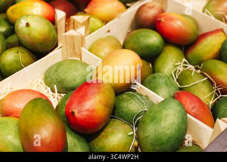Frische Mangos in Holzkiste. Farbenfrohe tropische Früchte auf dem Markt. Süße Bio-Produkte mit grüner, roter und gelber Haut. Saftiger gesunder Snack. Stockfoto