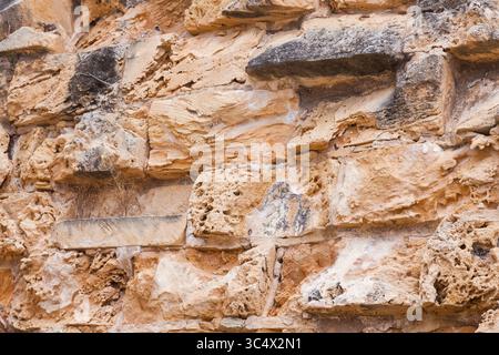Steinmauer aus natürlichem Muschelstein. Stockfoto