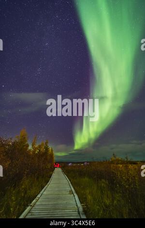 12. September 2018 – Alberta, Kanada – Eine aurora-Gruppe macht ihre aurora-Selfie-Aufnahmen auf der Promenade im Rotary Park in Yellowknife, NWT. Dies war der 11. September 2018 unter einer milden Darstellung von Lights. Die Beleuchtung erfolgt von der aurora und von der Stadtbeleuchtung in der Nähe. ..die Pleiaden- und Hyaden-Cluster steigen links auf. ..Dies ist ein kombinierter Stapel von 4 Belichtungen für den Boden und eine Belichtung für den Himmel und die Gruppe, alle 10 Sekunden bei f/2 mit dem Venus Optics 15-mm-Objektiv und Sony a7III bei ISO 3200. (Kreditbild: © Alan Dyer / Vwpics/VW Pics via ZUMA W Stockfoto