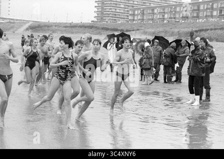 Neujahrstauchen Zandvoort, Neujahr, Zandvoort, 01-01-1985 Whizgle News, Dutch Desk, Niederlande, 1950-2000 Eine Gruppe Schwimmer in Badeanzügen läuft am Ufer entlang und plätschert durch seichtes Wasser, während die Zuschauer in Regenmänteln Regenschirme gegen den grauen Himmel halten. Die Szene fängt eine Mischung aus Spannung und Entschlossenheit in einer düsteren Atmosphäre ein. Stockfoto
