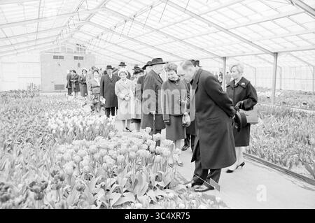 Eröffnung durch Minister LUNs, Nachlass der Stiftung Keukenhof in Lisse', Lisse, Stationsweg, 25-03-1964 Whizgle News, Dutch Desk, Niederlande, 1950-2000 Eine Gruppe elegant gekleideter Individuen schlendert durch ein Gewächshaus voller leuchtender Tulpen, bewundern die bunten Blumen und genießen die ruhige Atmosphäre. Stockfoto