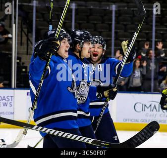 Jacksonville Icemen-Stürmer Everett Clark (17), links, feiert seine Punktzahl, um Überstunden zu erzwingen, mit seinem Bruder Emerson Clark und Mike Hedden (8), rechts, spät in der dritten Periode eines ECHL-Profihockeyspiels gegen die Florida Everblades in der Veterans Memorial Arena in Jacksonville, Florida, Mittwoch, 4. Dezember 2019. [Gary Lloyd McCullough/CSM](Guthaben: &Copy; Gary Lloyd McCullough/CSM via ZUMA Wire) Stockfoto