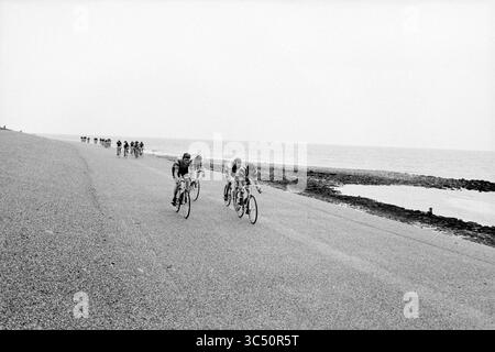 Finish North Holland Cycling Champion, Cycling, 23-05-1981 Whizgle News, Dutch Desk, Niederlande, 1950-2000 Eine Gruppe von Radfahrern läuft entlang einer Küstenstraße, wobei sich das Meer zur einen Seite erstreckt und im Hintergrund eine felsige Küstenlinie sichtbar ist. Die Fahrer sind fokussiert und eng zusammen positioniert, während sie gegeneinander antreten. Stockfoto