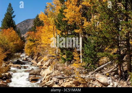 CHALK CREEK CANYON, ST. ELMO, COLORADO: Die Straße durch den Chalk Creek Canyon schlängelt sich durch Aspenbäume, die Herbstfarben zeigen. Stockfoto